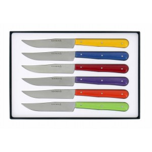Set of 6 steak knives, multi colored compressed fabric handle